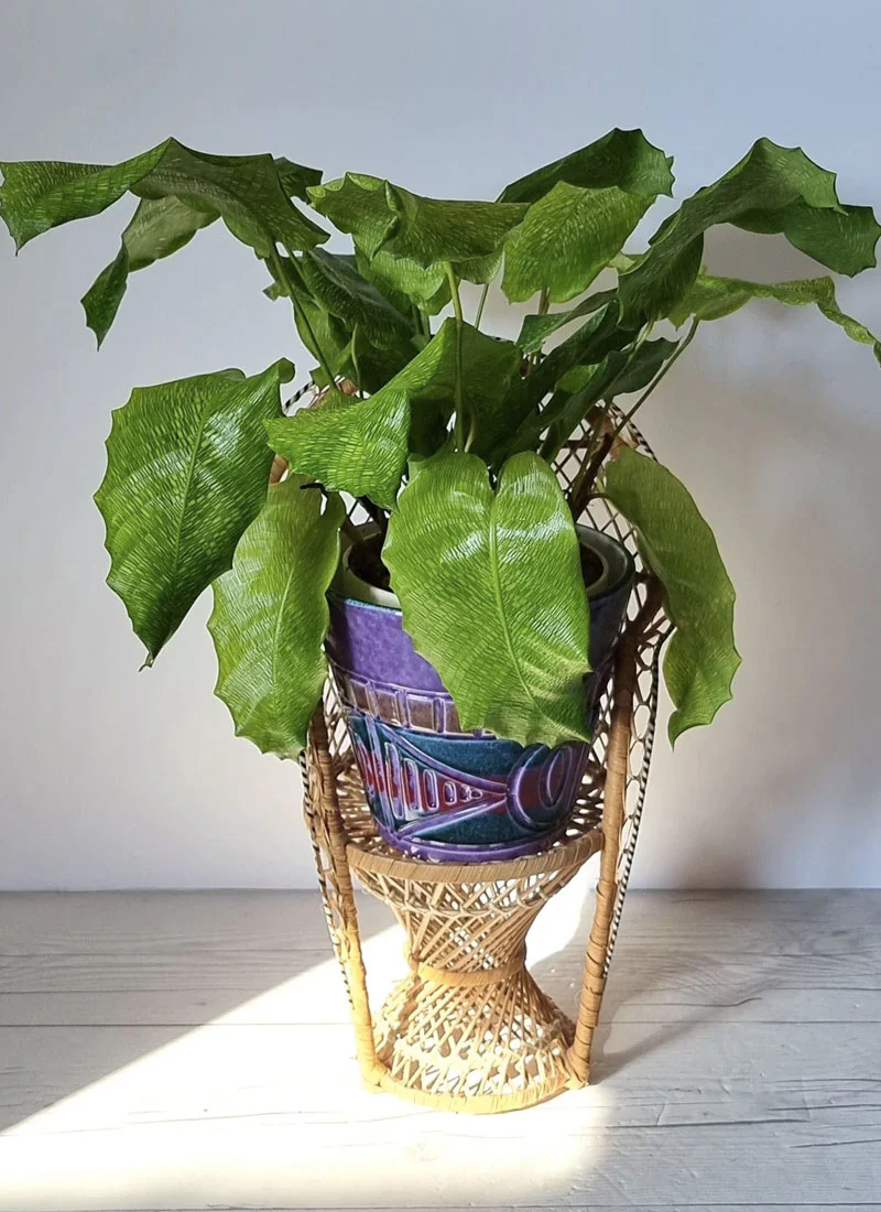 Italian Mid Century Modern 'Alla Moda' Palette Plant Pot, 1960s - Image 5