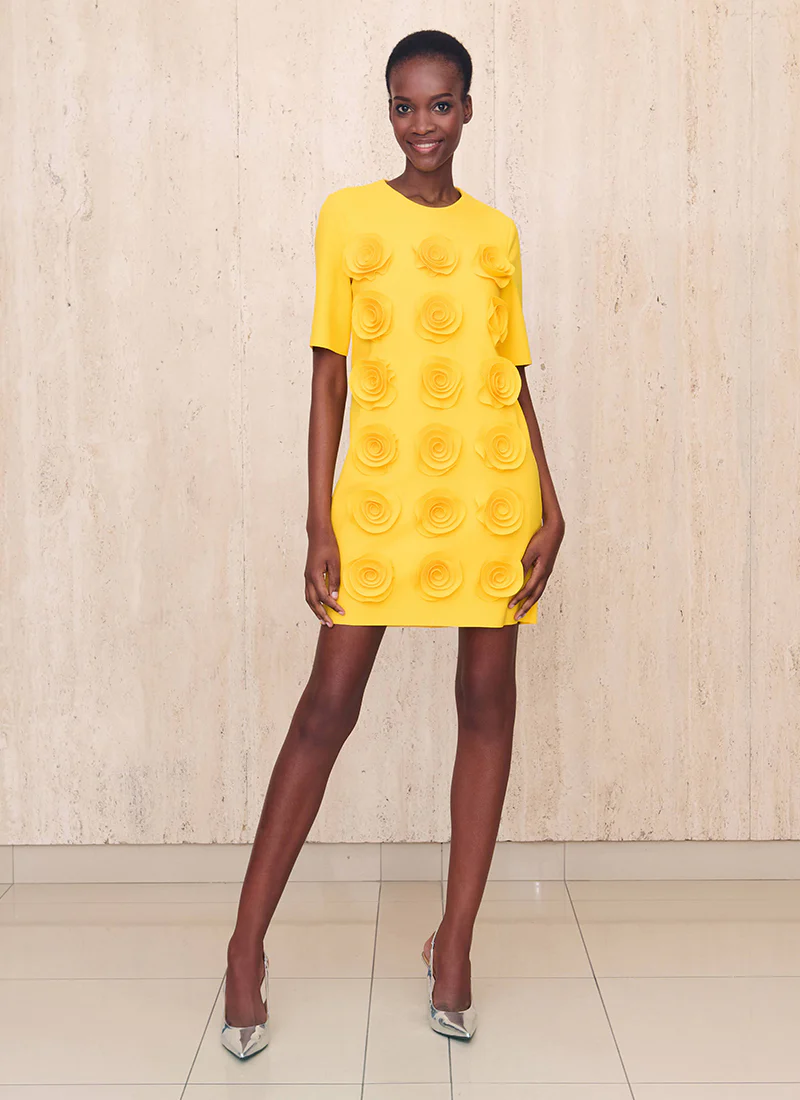 Bassi Floral Applique Shift Dress - Image 5