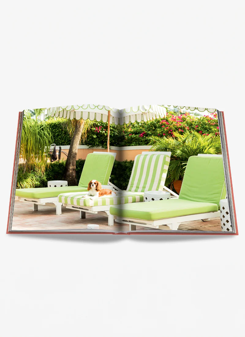 Palm Beach Book - Image 4