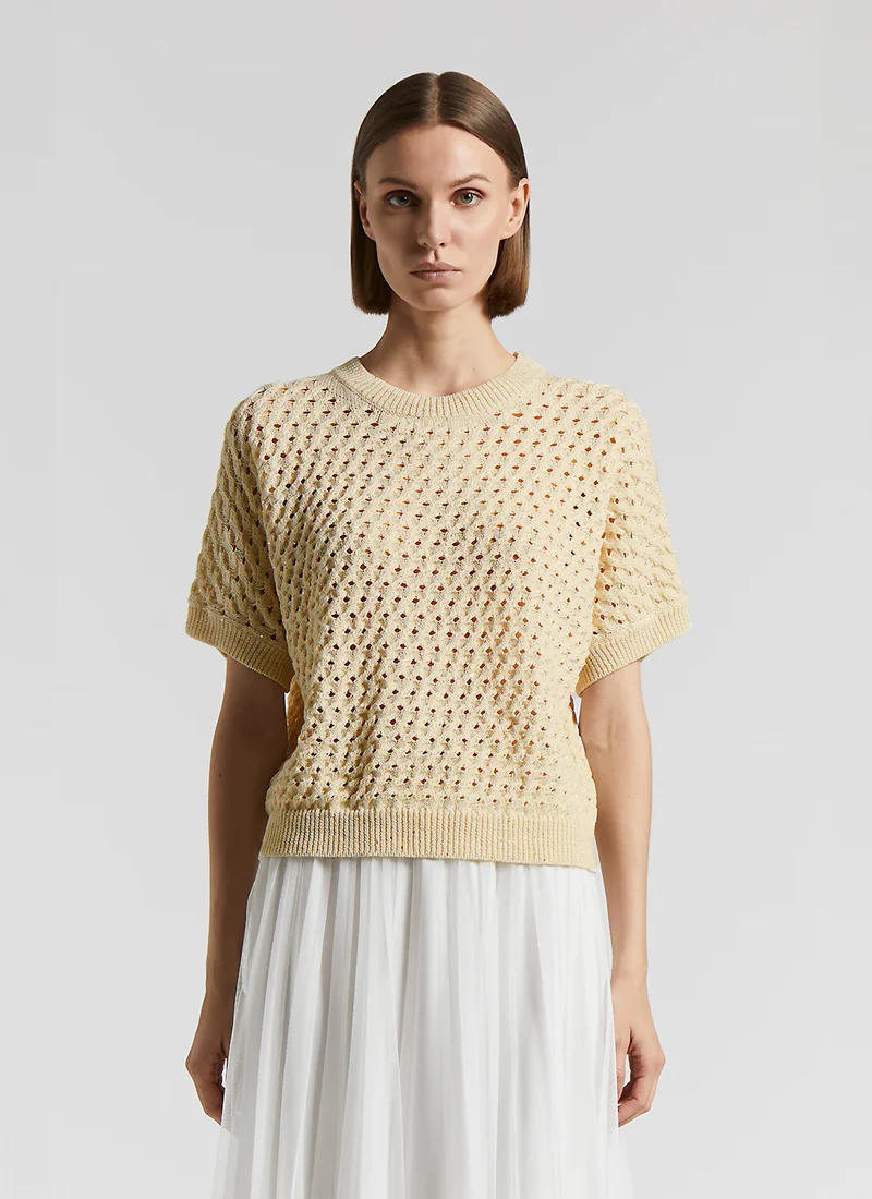 Short Sleeve Micro Sequins Sweater